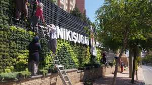 Sistema Moderno de Jardín Vertical con Material Plástico PP para Interiores de Oficinas y Espacios de Vivienda - Product Image 5