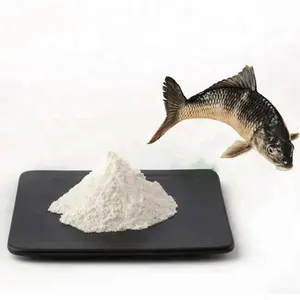 Péptidos de colágeno de pescado hidrolizado puro a granel, el mejor precio