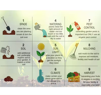 Kit de démarrage pour jardin intérieur, écologique, biodégradable, kit de plantation DIY pour la cuisine, pots à fleurs en carton brun chromé