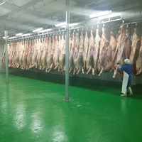 Système de rail de convoyage professionnel en acier inoxydable pour la viande, chambre froide, abattoir, stockage, outils de traitement des carcasses