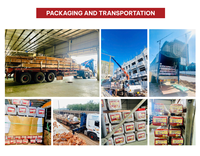 Revêtement de maison résidentielle vietnamienne Type léger G550 Grade JIS Standard Système agricole Duracoat léger en treillis de toit en acier