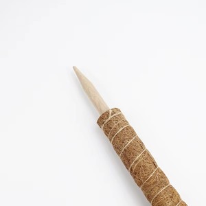 Poteaux <span class=keywords><strong>de</strong></span> support en coco empilables Totem Moss pour plantes <span class=keywords><strong>de</strong></span> tomates – Vente directe usine Vietnamienne - Product Image 1