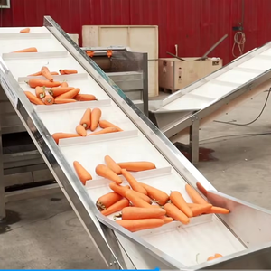Dây chuyền sản xuất cà rốt xay nhuyễn Chất lượng cao để xử lý hiệu quả, tự động và vệ sinh - Product Image 1