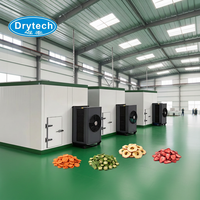 Fruitdroogmachine voor mango, banaan en okra