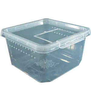 صندوق إطعام الزواحف البلاستيكي الشفاف بحجم كبير ومريح