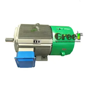 Generatore idroelettrico Brushless a 600Rpm 100Kw 25Kw basso Rpm generatore a magneti permanenti ac