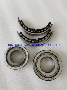 ตลับลูกปืนสำหรับปั๊มไฮดรอลิก A4vg28/40/56/71/90/125/180/250 สำหรับเครื่องตัดหญ้า, รถขุดขนาดเล็ก, รถตักล้อยาง, เครื่องตัดหญ้า, รถขุด - Product Image 4