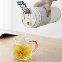 Bouilloire Portable chauffage électrique thé et tasse à café bouteille d'eau chaude Pot de chauffage électrique bouilloire de voyage