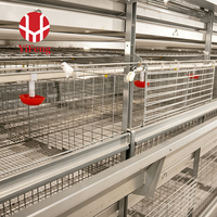 Cage d'élevage de poussins de type H, équipement avicole automatique pour ferme commerciale avec structure multi-niveaux et cadre galvanisé durable