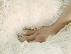 <span class=keywords><strong>Ebay</strong></span> Hot Sale Haustier Hund Donut Bett Sofa Luxus umwelt freundliche Anti-Angst Beruhigende Donut Cuddler Fluffy Pet <span class=keywords><strong>Cat</strong></span> Hunde betten - Product Image 4