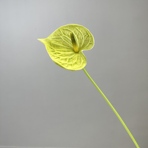 L-R327 Nouveau design, <span class=keywords><strong>bouquet</strong></span> <span class=keywords><strong>de</strong></span> <span class=keywords><strong>fleurs</strong></span> artificielles haut <span class=keywords><strong>de</strong></span> gamme fait main, calla, anthurium, phalaenopsis, amaranthus, pour <span class=keywords><strong>bouquet</strong></span> <span class=keywords><strong>de</strong></span> <span class=keywords><strong>mariée</strong></span> - Product Image 5