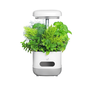 smart planter indoor smart garden hydroponic grow box with led grow light