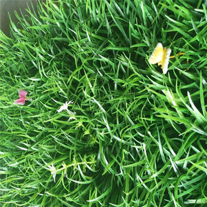 Al aire libre o <span class=keywords><strong>en</strong></span> la cubierta de plástico de plantas Artificial jardín <span class=keywords><strong>Vertical</strong></span> <span class=keywords><strong>pared</strong></span> verde - Product Image 1