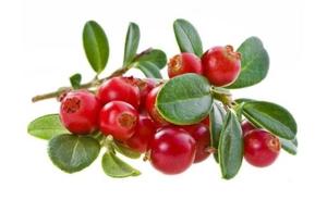 Xian Healthway <span class=keywords><strong>Cranberry</strong></span> <span class=keywords><strong>Extract</strong></span> Poeder <span class=keywords><strong>Cranberry</strong></span> <span class=keywords><strong>Capsules</strong></span> <span class=keywords><strong>Cranberry</strong></span> Poeder - Product Image 4