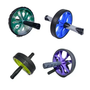 Private Logo Exercise Workout Plastic Balance Double Wheel