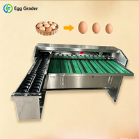 Machine de triage d'œufs pour usage agricole, équipement de tri multi-gamme pour la classification des œufs de poulet crus par taille