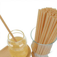 Pailles jetables écologiques 100 % biodégradables en bagasse PHA de BOFA Direct Selling pour les salons de thé, les cafés et les boutiques de desserts