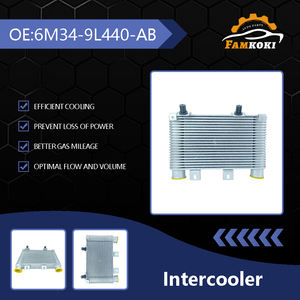 Refroidisseur intermédiaire de haute qualité de vente chaude 6M34-9L440-AB adapté pour Ford RANGER (ET) 2005-2012 et Mazda BT-50 pick-up 2006-2015 - Product Image 2
