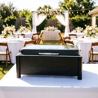 Chauffe-Plats Électrique Professionnel 9L Rectangulaire Noir en Acier Inoxydable pour Buffet – Offre Spéciale