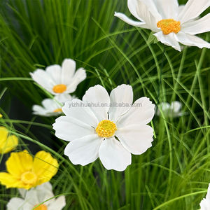 Simular plástico planta verde hierba planta <span class=keywords><strong>de</strong></span> <span class=keywords><strong>caña</strong></span> en maceta plantas largas artificiales Cola <span class=keywords><strong>de</strong></span> Caballo <span class=keywords><strong>caña</strong></span> <span class=keywords><strong>flor</strong></span> <span class=keywords><strong>caña</strong></span> - Product Image 5