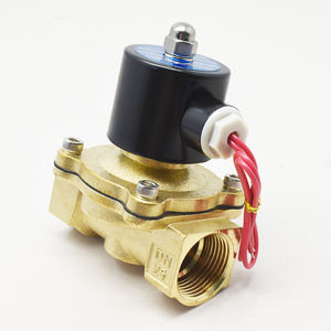 2W250-25 1英寸水电磁阀常闭型 AC220V AC110V DC24V DC12V - Product Image 6