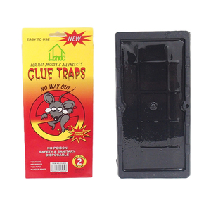 Piège à colle <span class=keywords><strong>pour</strong></span> <span class=keywords><strong>rat</strong></span> collant non toxique avec <span class=keywords><strong>beurre</strong></span> <span class=keywords><strong>de</strong></span> <span class=keywords><strong>cacahuète</strong></span> parfumé <span class=keywords><strong>pour</strong></span> souris souris - Product Image 1