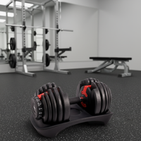 Lingxi – Ensemble d'haltères réglables en fonte de 24 kg/52,5 lb, Kettlebell et Barre d'haltères – Équipement de fitness exclusif transfrontalier – Fabricant