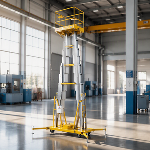 Elevador Vertical de Alta Resistencia con Plataforma Grande para Techos Altos - Soporte - Product Image 5