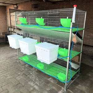 Jaula Comercial <span class=keywords><strong>para</strong></span> Engorde y Cría de <span class=keywords><strong>Conejos</strong></span> de Raza de Pelo Largo, 9 Posiciones, Alimentación/Bebedero Automático - Product Image 3