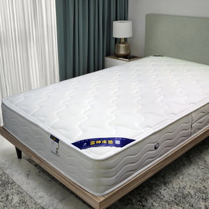 Chất lượng cao Nữ Hoàng Kích thước chỉnh hình hỗ trợ Túi mùa xuân giường nệm bền nội thất khách sạn cho phòng ngủ ngủ cho khách sạn - Product Image 4