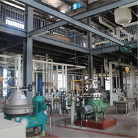 Usine complète de traitement et de raffinage de l'huile de palme pour la raffinerie d'huile de palme rouge, projets clés en main, machine de raffinage d'huile de palme