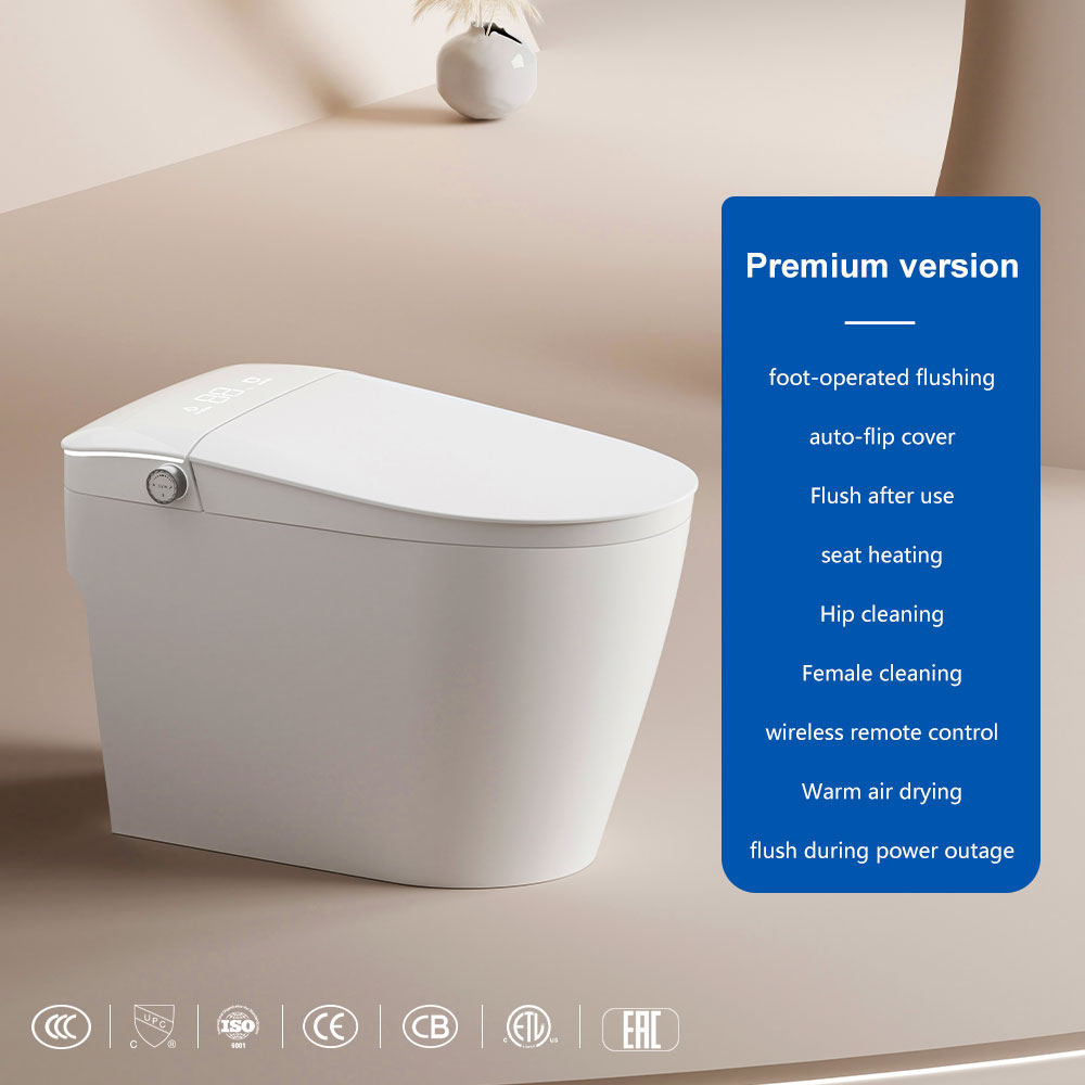 Valvola a impulsi bianca 705C-110V~