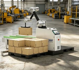Robot Colaborativo Automático para Paletización, Cobot Paletizador con Máquina Envolvedora de Palés - Product Image 1