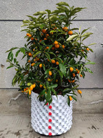 Plastique HDPE 8 Gal. Pot de culture pour plantes de pépinière à racines auto-élaguantes, à croissance rapide et à contrôle aérien