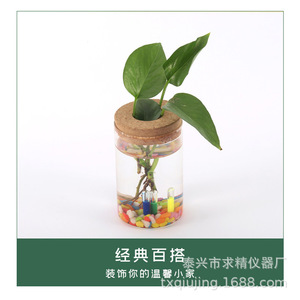 Glass Hydroponic Planter With Bamboo Base And Wooden Stopper For Desktop Green Plant Decoration - Product Image 2