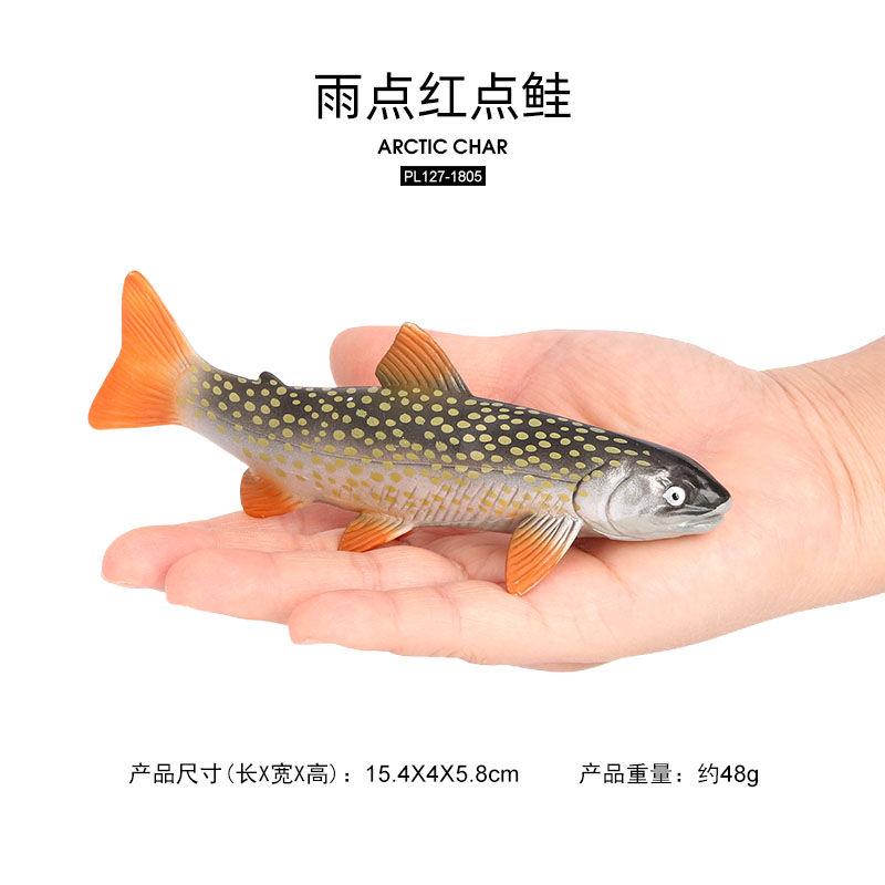 ปลาอาร์กติกชาร์ 1805 ตัว, Salvelinus alpinus