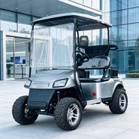 Voiturette de golf électrique 2 places OEM avec chargeur rapide et longue autonomie pour Safari