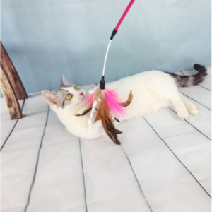 Nieuwe Dubbele Belletjes Katten Speelgoed met Kleurrijke Zachte Kalkoenveren en Draad Bomb PVC en Metaal Interactieve Plager met Paal - Product Image 5