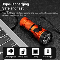 7xLED haute luminosité blanc/rouge/vert/bleu/365nm lumière UV Mini lampe de poche USB Rechargeable randonnée pêche Camping aimant torche de travail