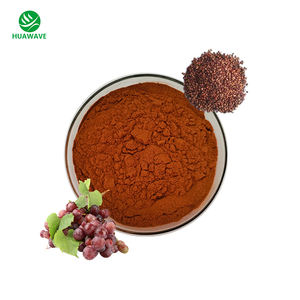 Yüksek kaliteli doğal proantosiyanidin üzüm çekirdeği ekstresi tozu - Product Image 1