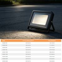 Reflector LED OUTLUX E028 de 100W IP65 de Aluminio con Luz Blanca Cálida y Ángulo de Haz de 120° para Iluminación de Almacenes y Estadios