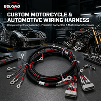Harnais de câblage complet personnalisé BeiXing avec âme en cuivre et isolation PVC/Nylon, indice de protection IP67, pour automobiles et motocyclettes