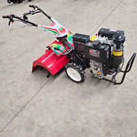 Mini-motoculteur diesel agricole Labobor pour la ferme, le jardin et les plantations