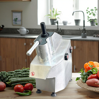 Hoge capaciteit automatische commerciële multifunctionele groentesnijmachine met 5 messen, kaassnijder met motor voor het snijden van fruit