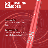 Brosse à dents électrique sonique mince personnalisée SEAGO SG-2007, alimentée par piles, 120 jours d'utilisation, avec minuteur de 2 minutes et indice IPX7