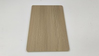 Panel de Pared WPC Ignífugo B1 para Terminal de Aeropuerto, Panel Compuesto de Madera y Plástico, Resistente al Fuego y Duradero para Decoración de Paredes en Áreas Públicas