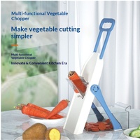 Coupe-légumes multifonctionnel manuel en plastique PP, râpe, trancheuse, hachoir, outil de cuisine, écologique et sûr