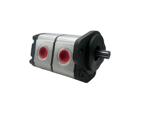 <b>Crane</b> and excavator equipment parts 3319121186 Dual gear pump - Product Image 4