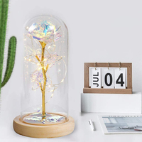 Décoration DIY Cloche Affichage Dôme en Verre avec Cadeau en Bois Verre Europe Hémisphère Clair Base Dôme Écologique