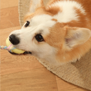 Đồ chơi nhai an toàn TPR chống cắn bán buôn cho chó, đồ chơi thú cưng nhiều màu sắc vui nhộn, đồ chơi tương tác giúp mài răng và huấn luyện thú cưng - Product Image 4